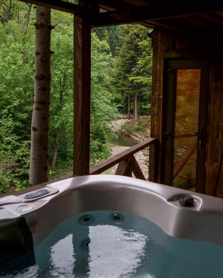 Novosiele Residence - Nad Gorska Rzeka - Lesne Spa Sauna Jacuzzi - Bieszczady Bystre  Екстер'єр фото